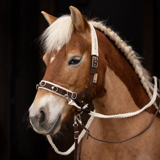 Set - Filzsattel - Sattelgurt - Hamer´s Horse Zaum ab