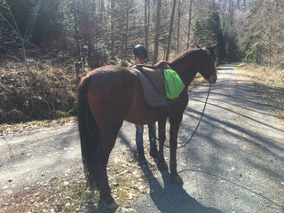 Filzhopp - mobile Aufsteighilfe