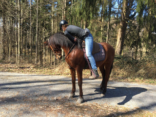 Filzhopp - mobile Aufsteighilfe