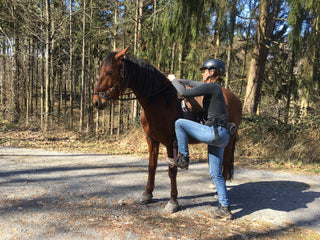 Filzhopp - mobile Aufsteighilfe