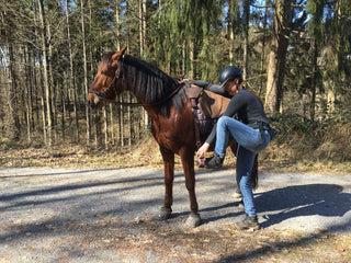 Filzhopp - mobile Aufsteighilfe
