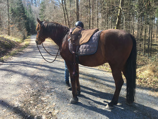 Filzhopp - mobile Aufsteighilfe