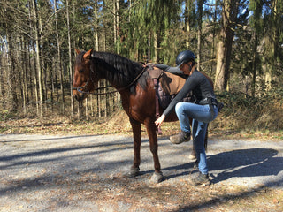Filzhopp - mobile Aufsteighilfe