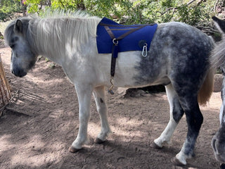 Configure stirrup blanket