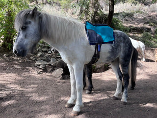 Configure stirrup blanket