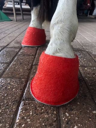 botte à sabot