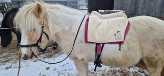 Configure stirrup blanket