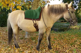 Satteldecke zum Konfigurieren