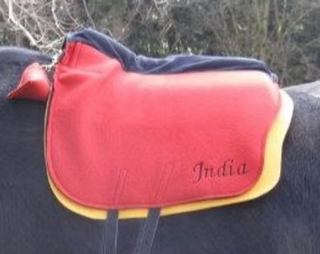 Satteldecke zum Konfigurieren