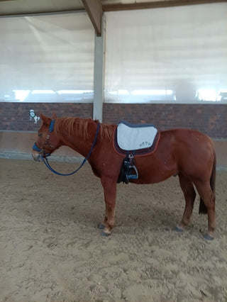 Felt saddle for configuration
