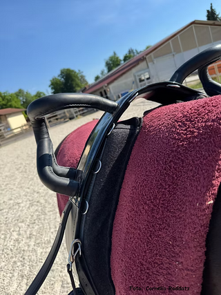 Pad for vaulting surcingle