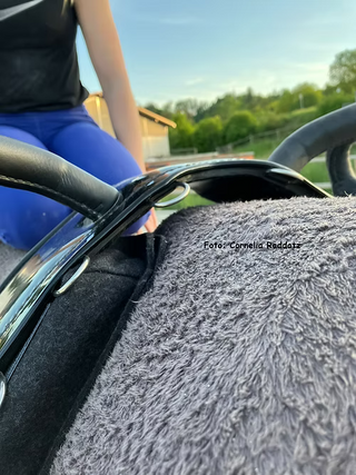 Pad for vaulting surcingle