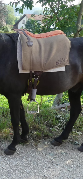 Configurer la couverture d'étrier